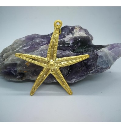 Estrella de Mar en Bronce con Oro